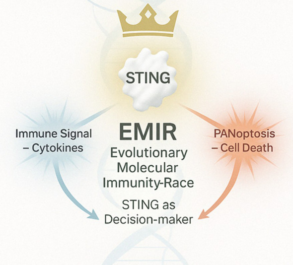 Figure 12