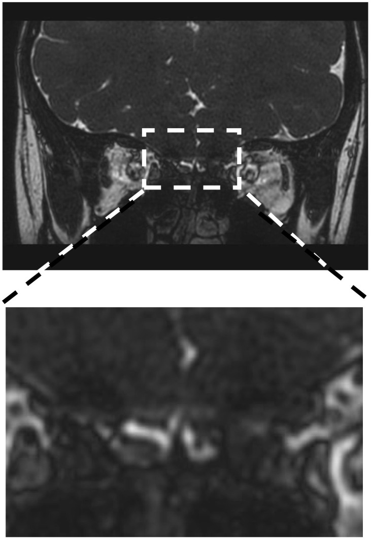 Figure 1