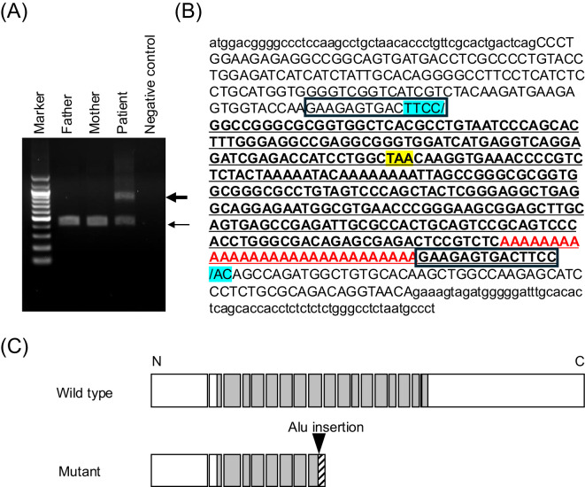 Figure 3