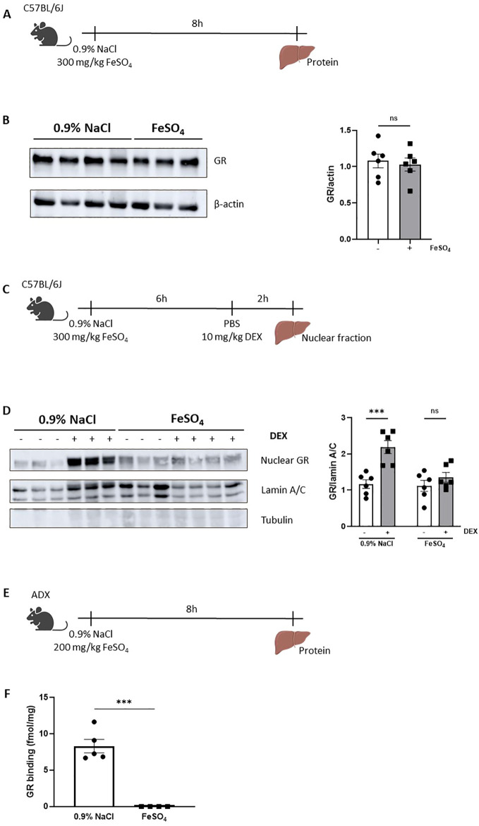 Figure 5