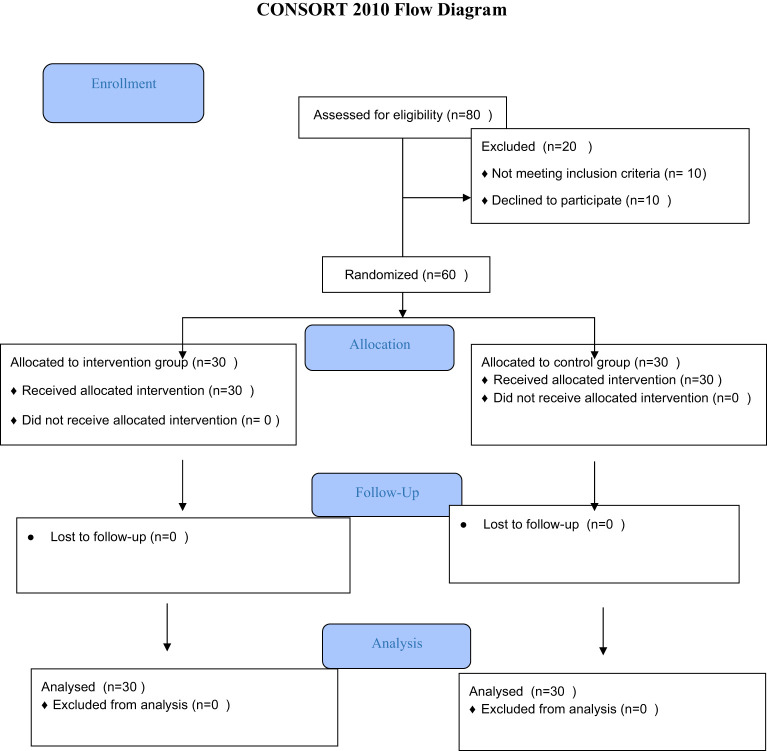 Figure 1