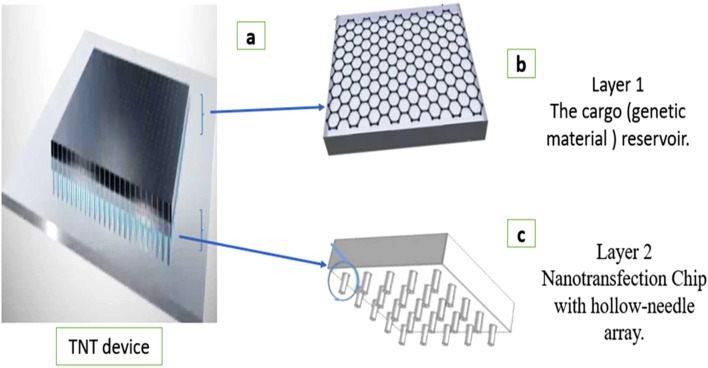 FIGURE 1