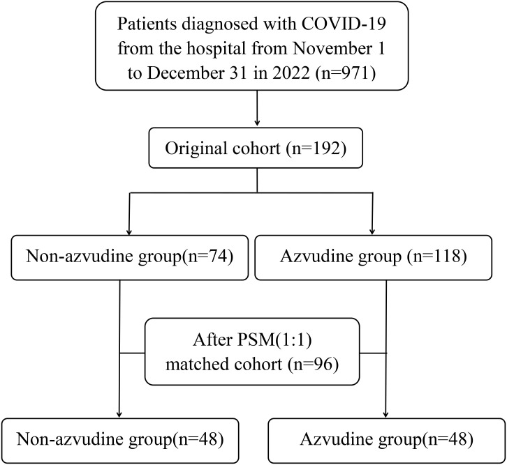 Figure 1