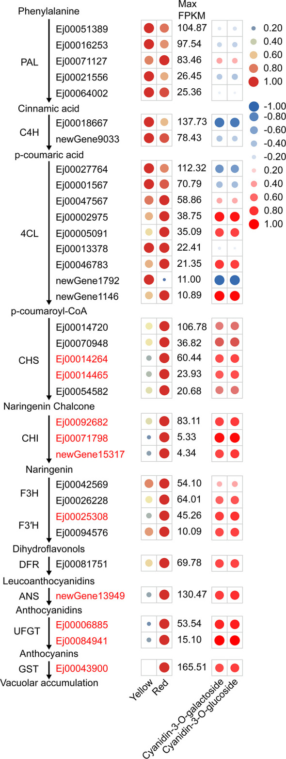 Figure 2