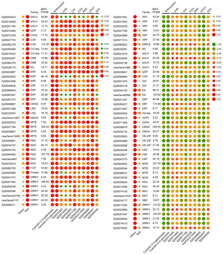 Figure 3