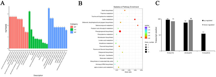 Figure 4
