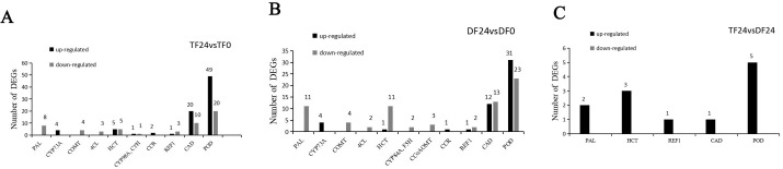 Figure 5
