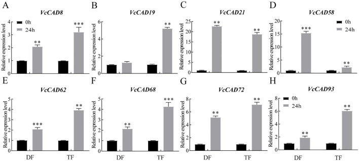 Figure 9