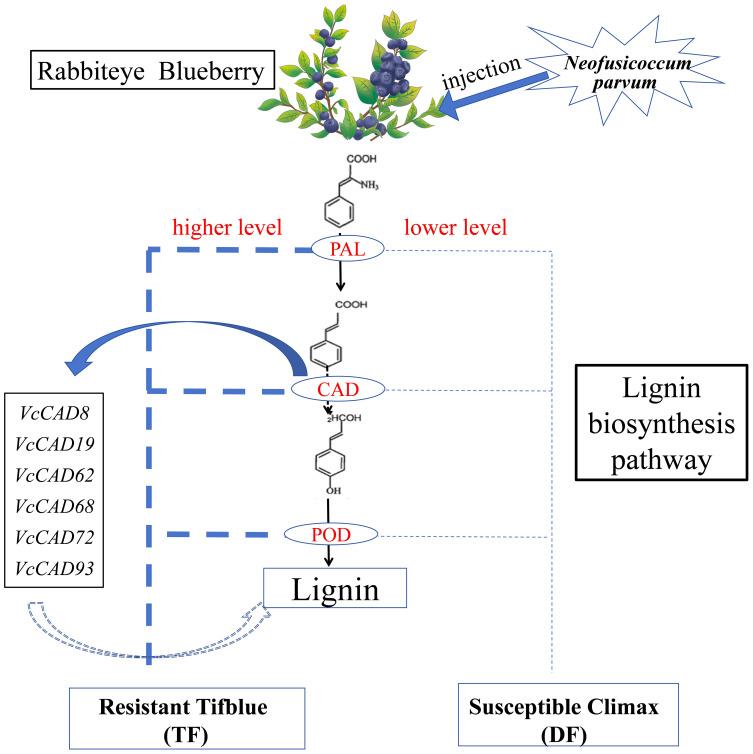 Figure 10