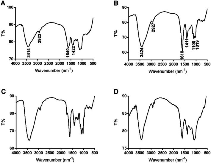 FIGURE 3