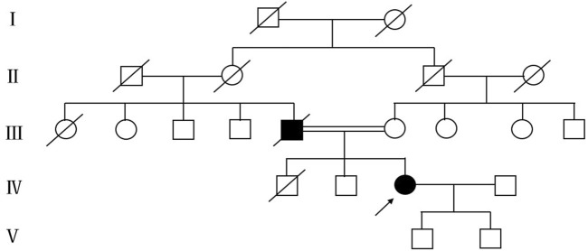FIGURE 3