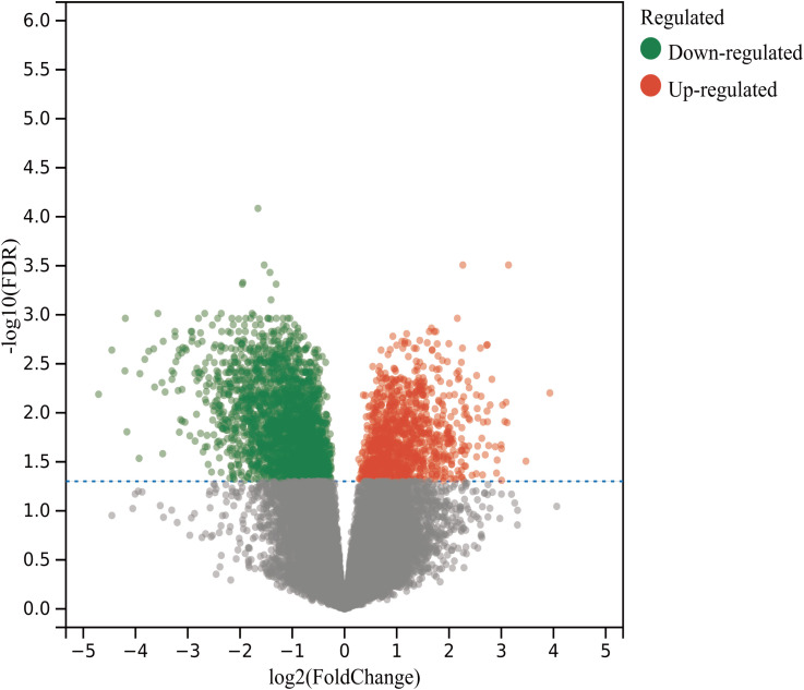 Figure 2