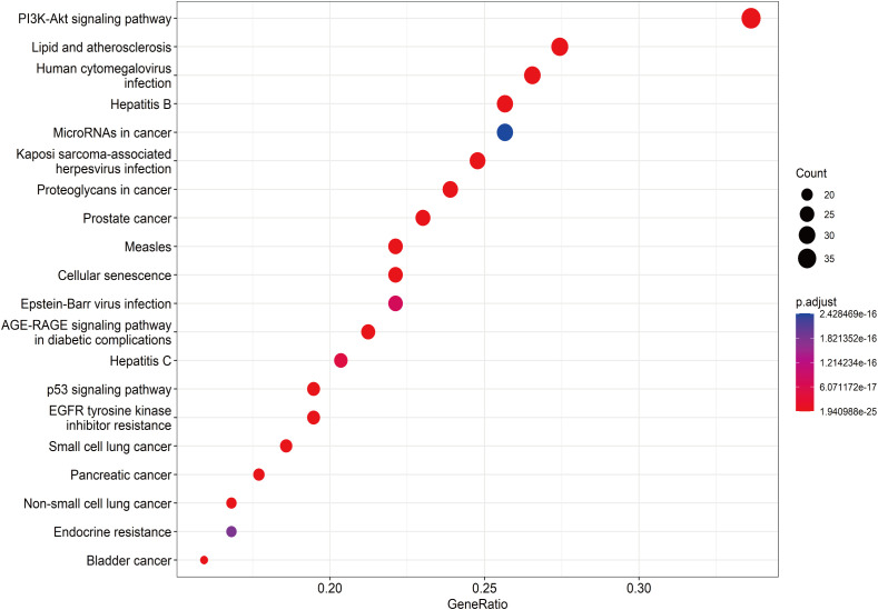 Figure 10