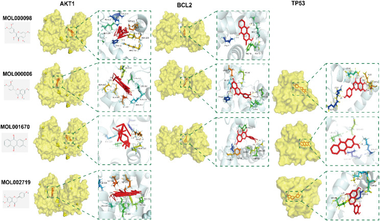 Figure 14