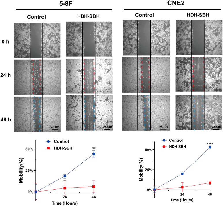 Figure 17