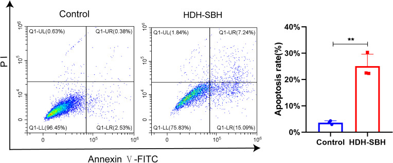 Figure 20