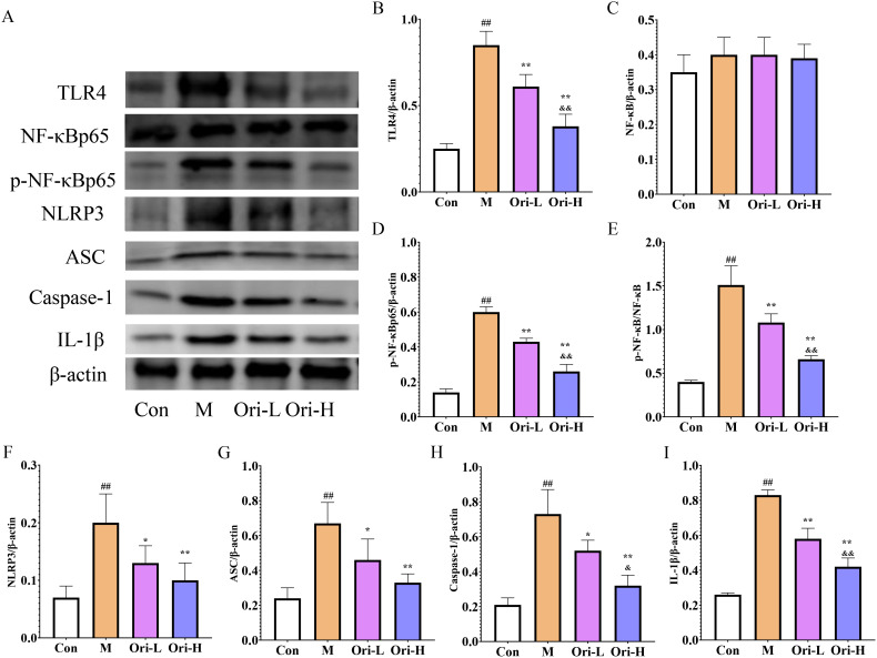 Figure 4