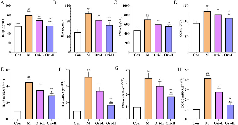 Figure 5
