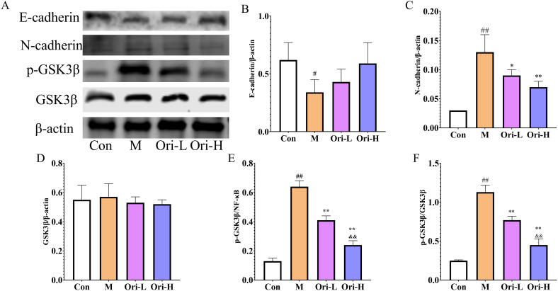 Figure 7