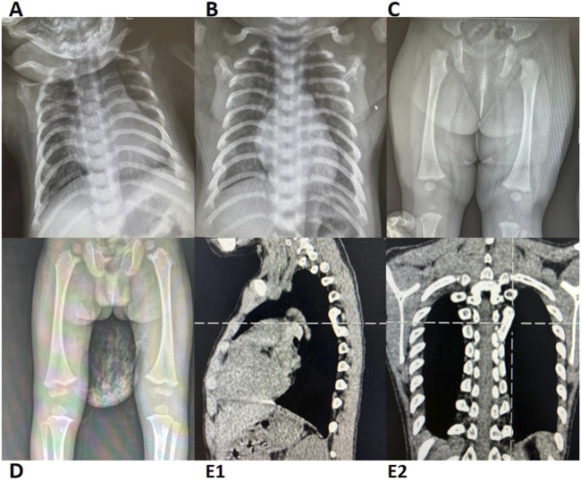 FIGURE 1