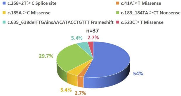 FIGURE 3