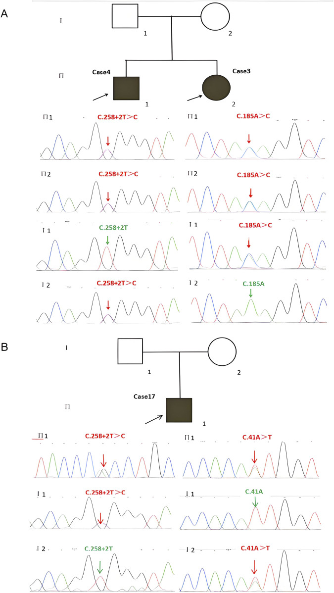 FIGURE 4