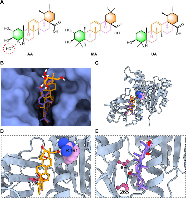 Figure 6