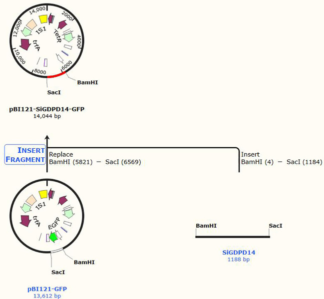 Figure 11