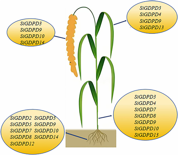 Figure 14