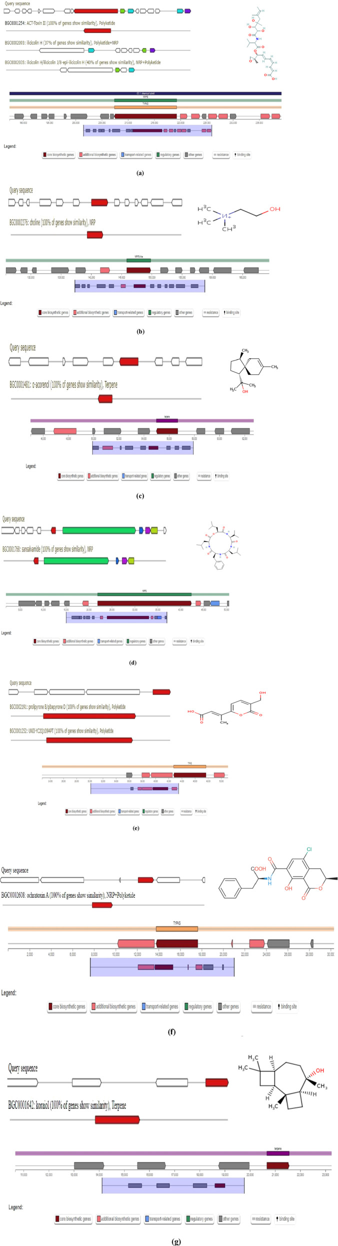 Figure 12