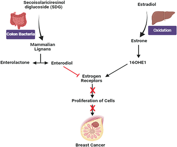 Figure 14