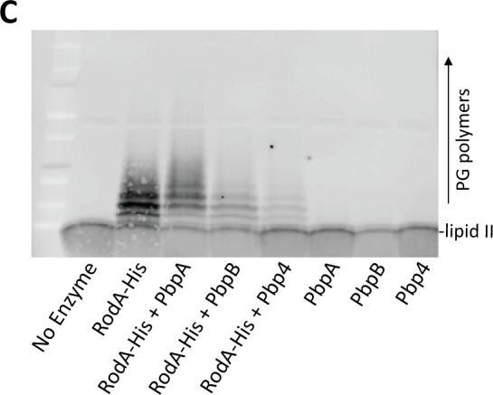Fig 5