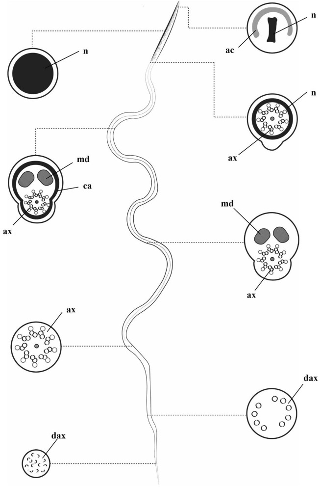 Figure 9