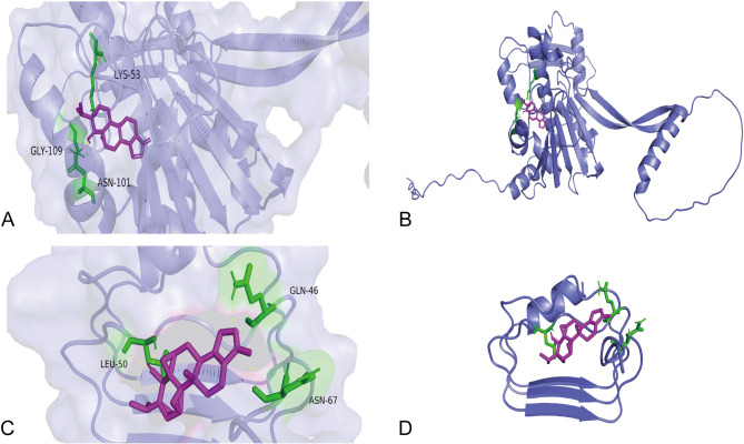 Figure 6