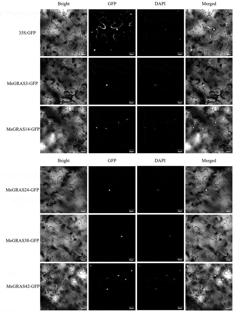 Figure 11
