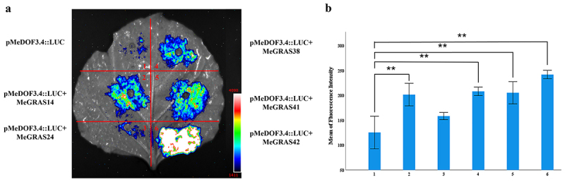 Figure 12