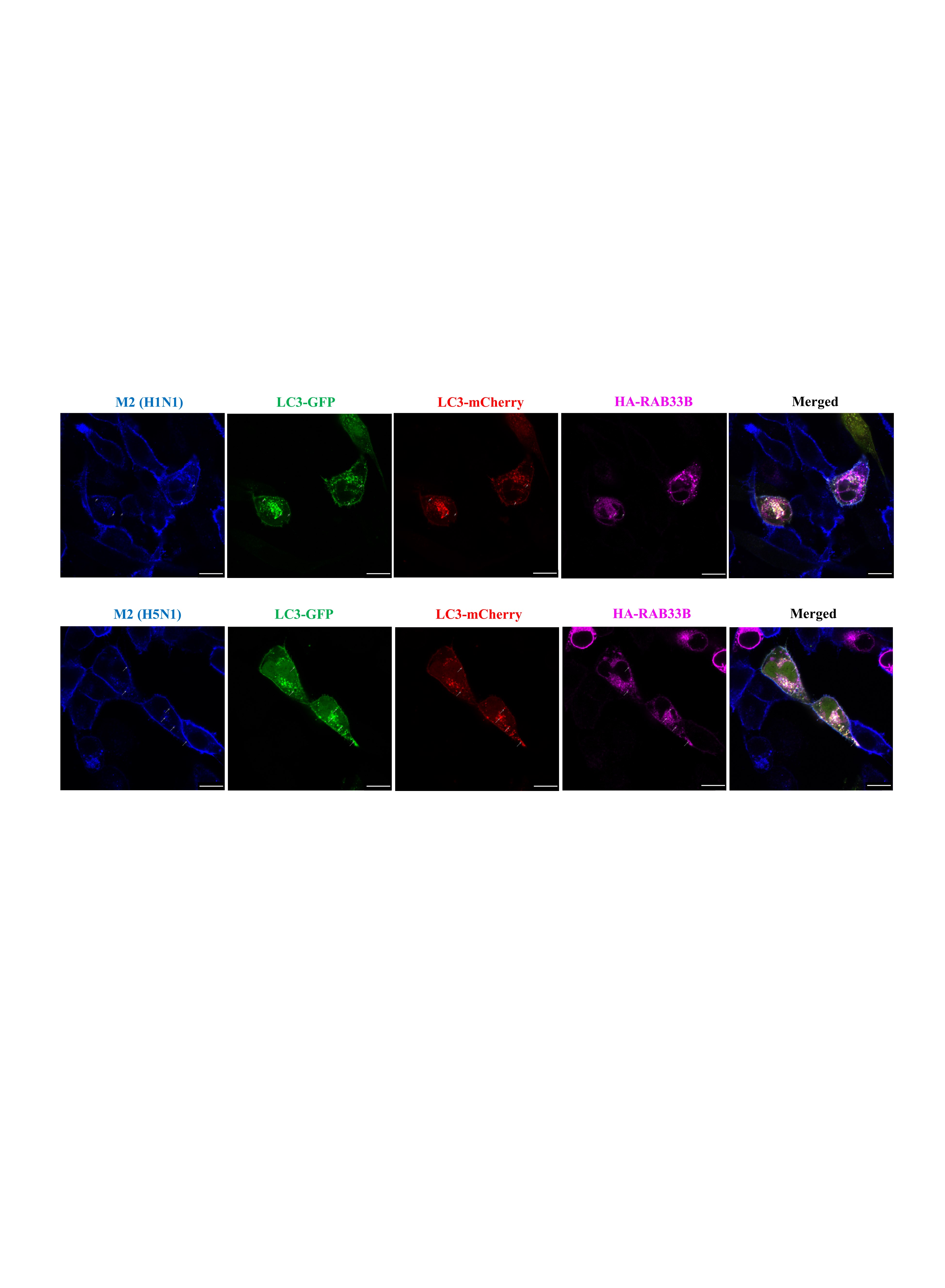 Figure 16