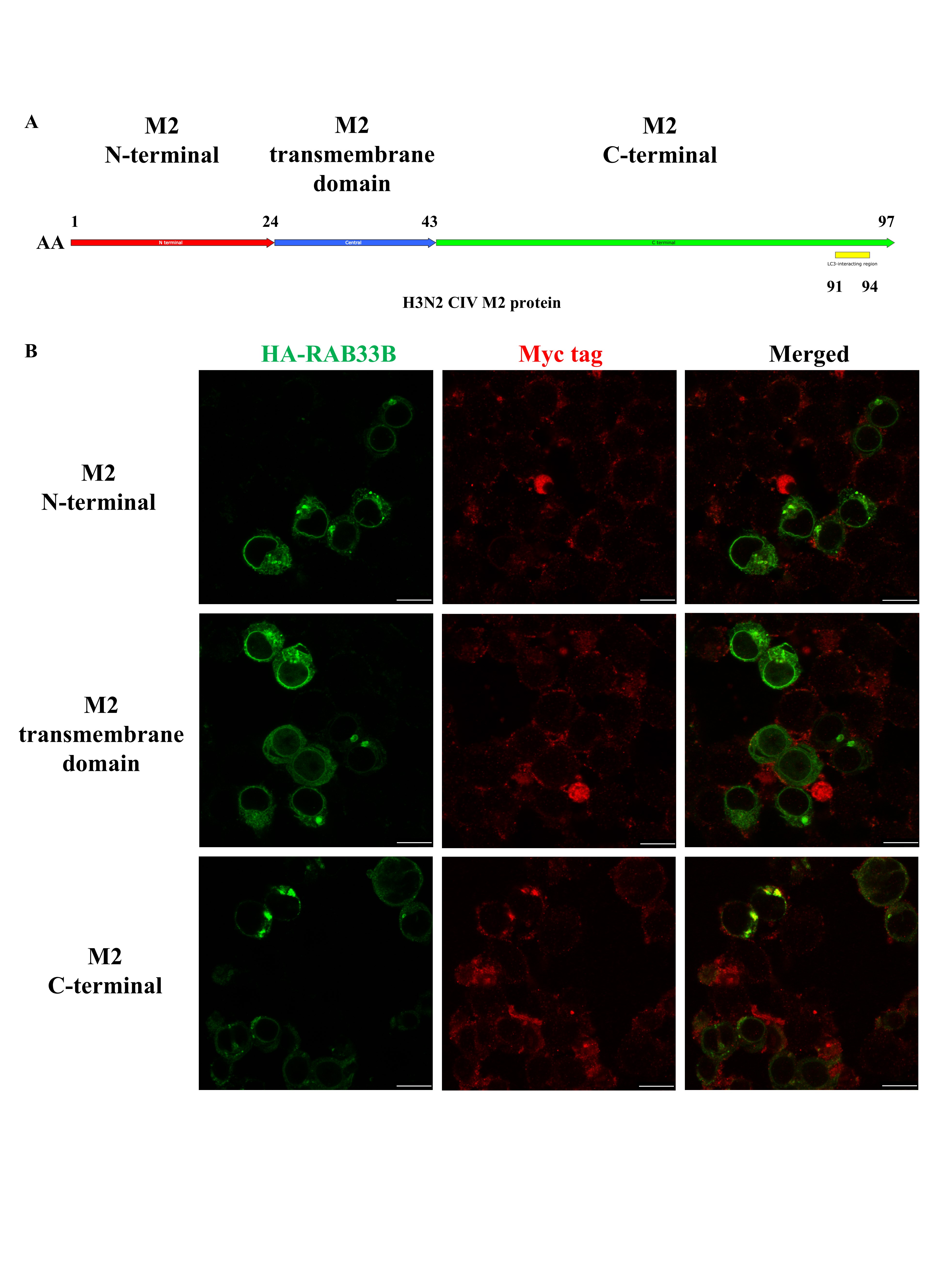 Figure 17