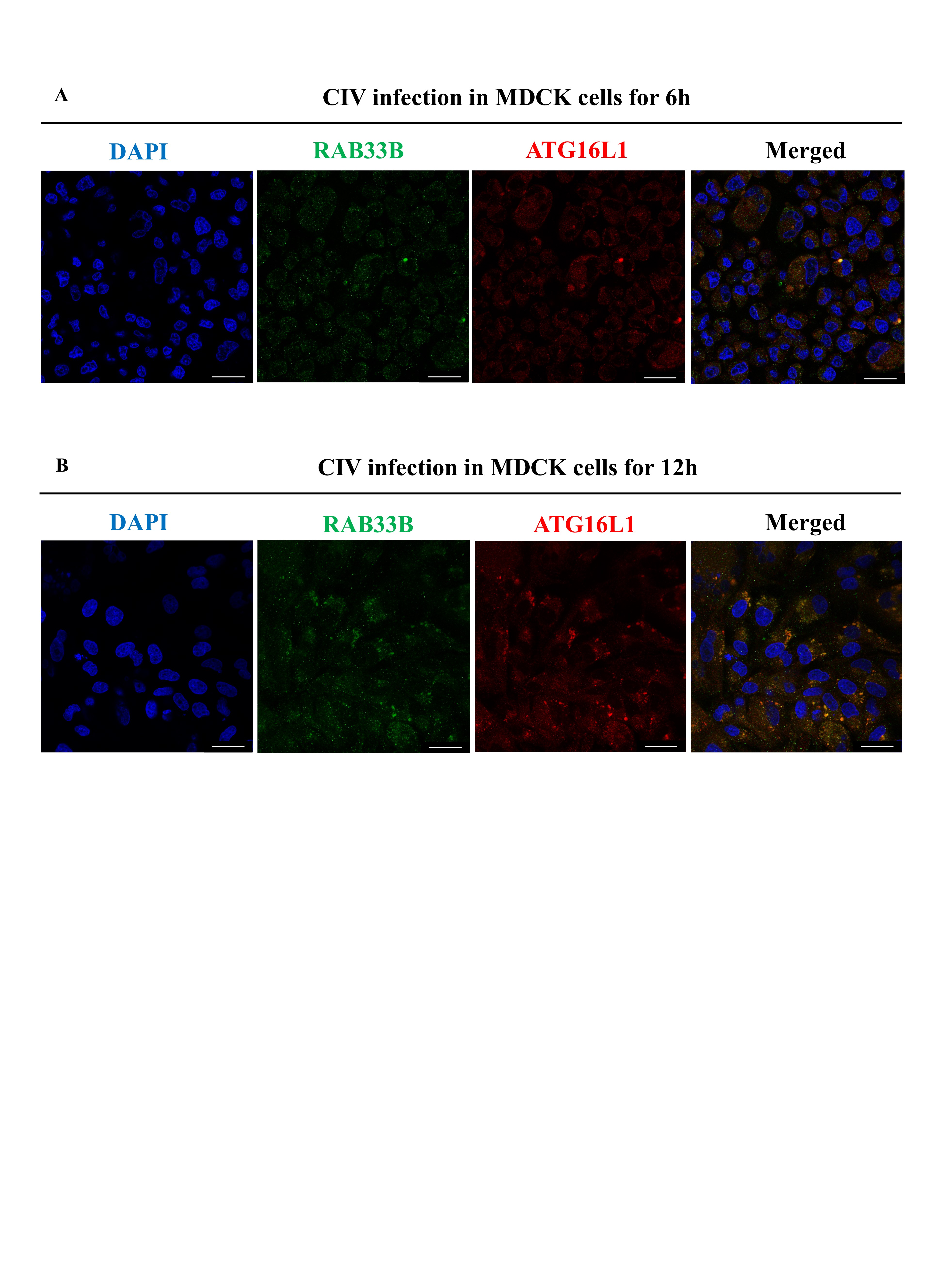 Figure 19