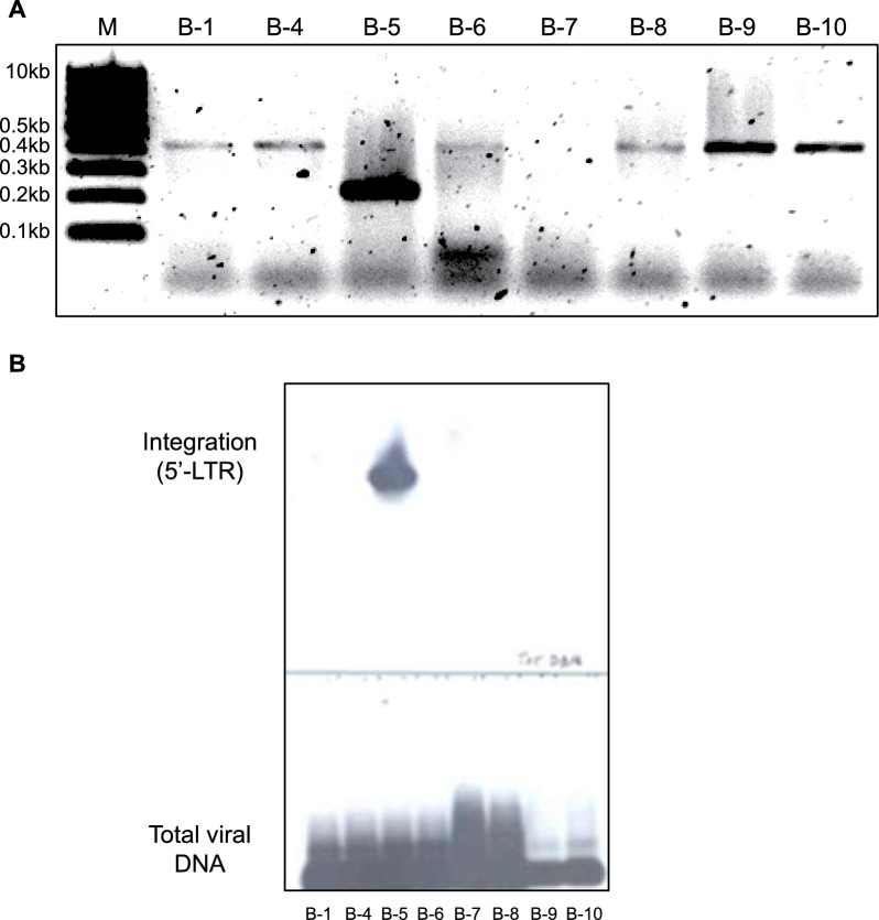 Figure 6