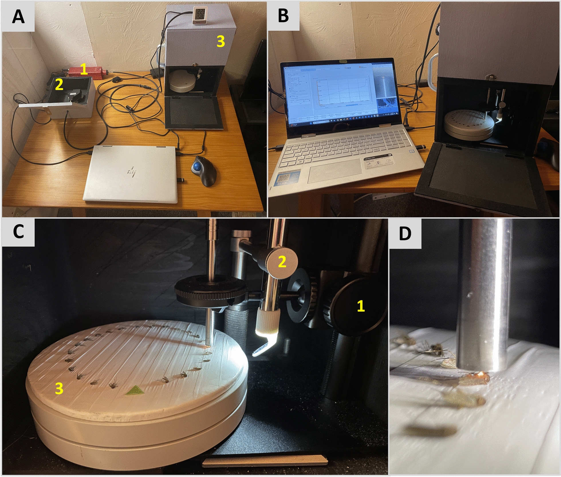 Figure 2