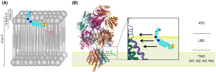Fig. 11