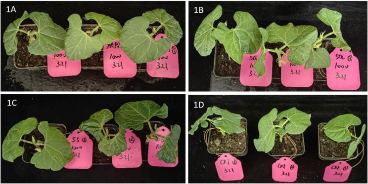 Fig 4