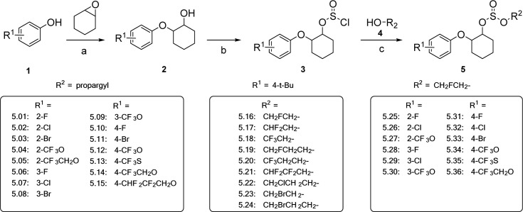Scheme 1