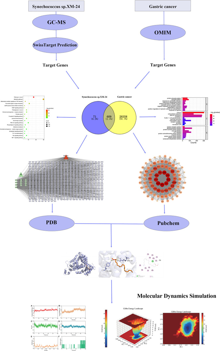 Fig 1