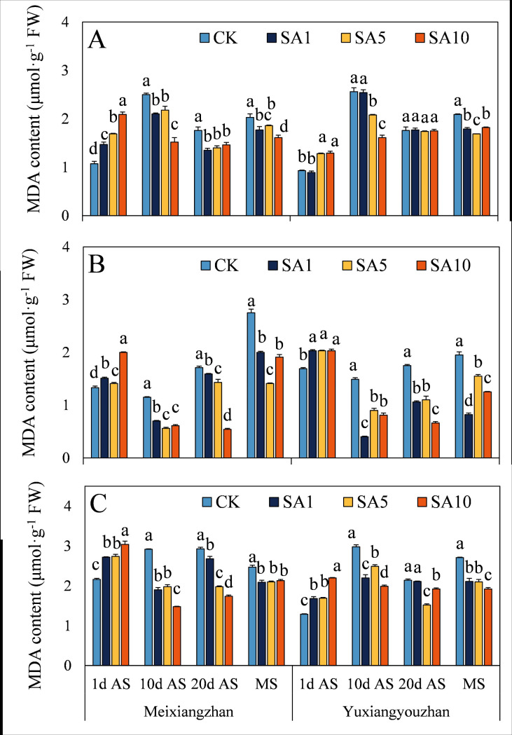 Fig 10