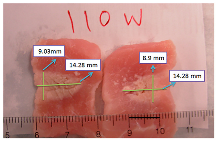 Fig 6