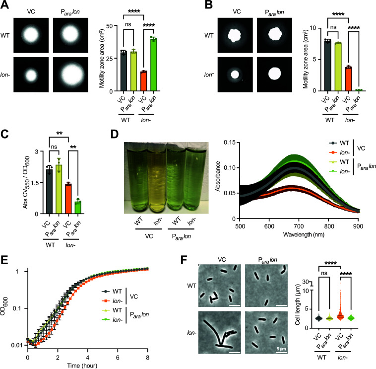 Fig 4