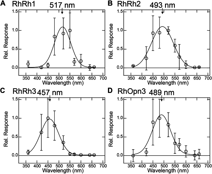 Figure 4