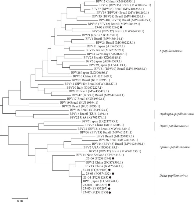 Figure 5